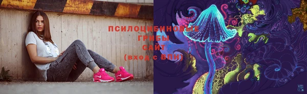 ECSTASY Гусиноозёрск