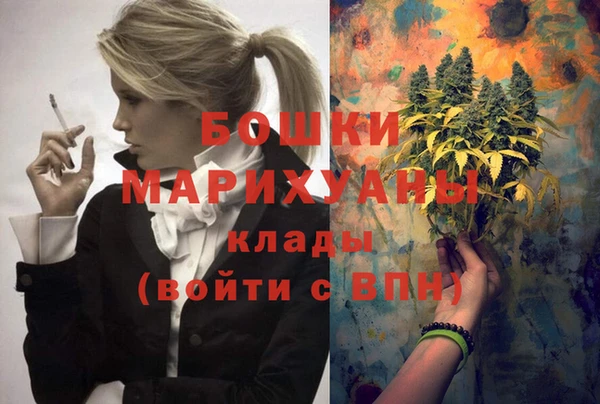 ALPHA PVP Гусев