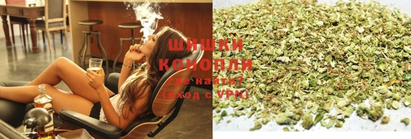 ECSTASY Гусиноозёрск