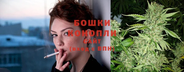ALPHA PVP Гусев