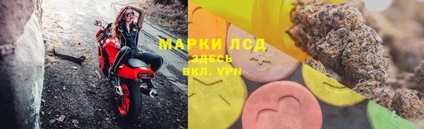ALPHA PVP Гусев