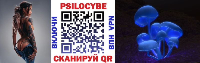 Галлюциногенные грибы Psilocybe  где купить наркоту  Северск 