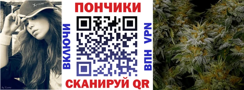как найти наркотики  Северск  Бошки Шишки SATIVA & INDICA 